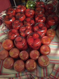 Соленья крашенные/ ДА и грибочки маринованные! 