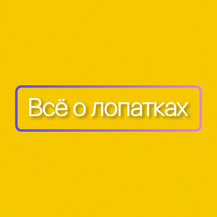 Все о лопатках 