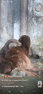 Еще раз про любовь...