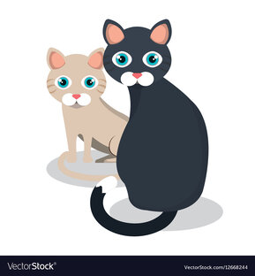 Кошки и котята ищут дом
