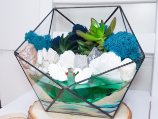 Флорариумы от А до Я