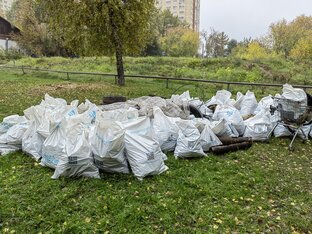 ЭКОЛОГИЯ И ПРИРОДА