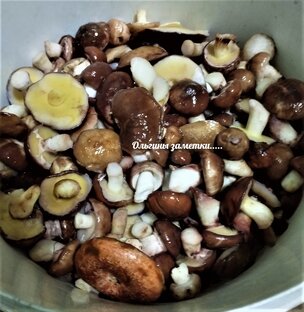 Грибочки.....