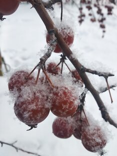 Красота во всем!