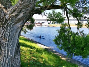 Мудрые слова