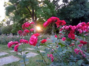 Природа Болгарии