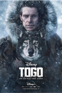 Топ фильмы 