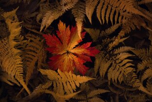 Рассказы для взрослых детей 