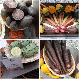 Выбираем семена овощей и цветов