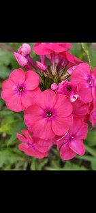 Хранительница Земли