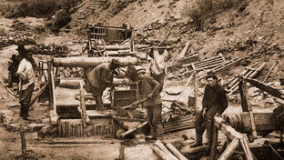 Гости в поиске золота.