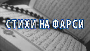 Стихи о любви и жизни