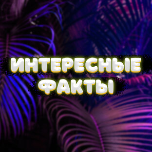 Интересные факты