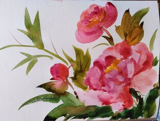 Акварель, рисование. 