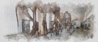 Чем богат Георгиевск