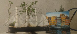 Крузенштерн 