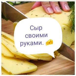 Творог и творожные изделия. 