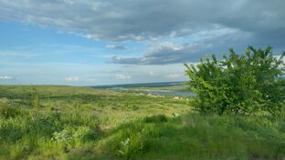 Красота донской природы 