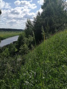 Деревенские посиделки