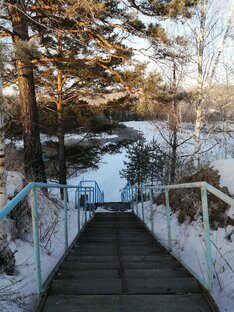 Жизнь в Хайку