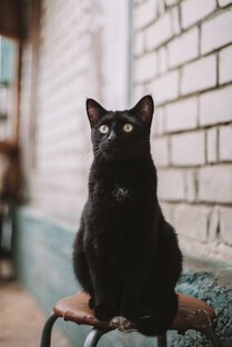 А это полезно знать 🎓