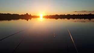 Красавец и Чудовище