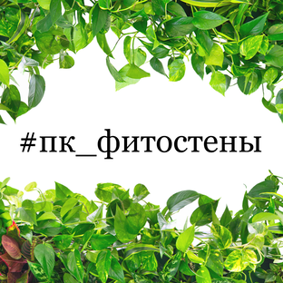 ПК Фитостены. О нас.