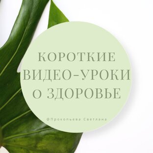 Короткие Ролики