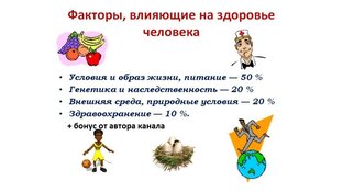 О здоровом образе жизни