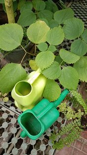 Биопрепараты