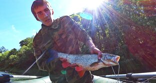 Ловля голавля 