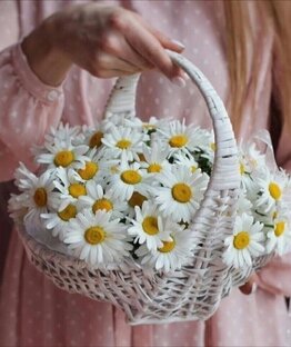 Высказывания 