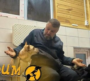 Стримы в записи 