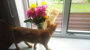 Истории из жизни