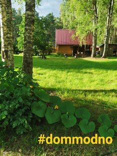 Переехали в деревню