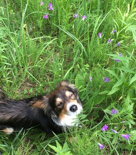 Литература и прочие интересы