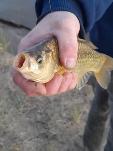 Рыбалка, природа, мой город.