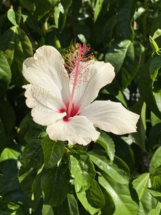 Для вдохновления