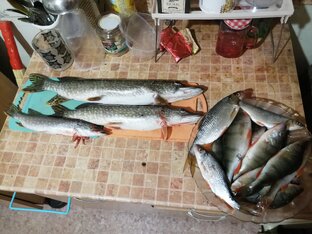 РЫБАЛКА В 2022-м