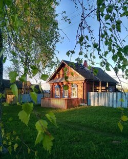 Просто жизнь