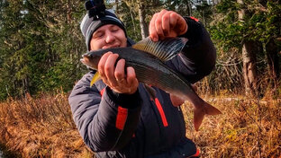 Ловим ХАРИУСА