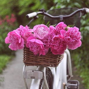 Психологические тесты