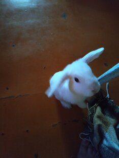 Такими я был раньше 