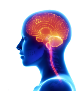 Тесты на интеллект и IQ