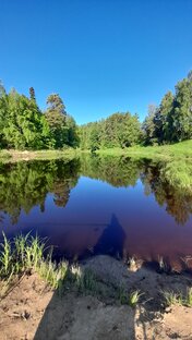 Эх, рыбалочка