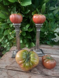 Томаты: интересные сорта