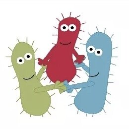 Наш Микробиом