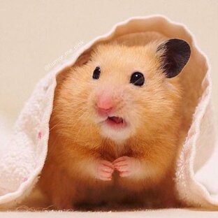 Цитаты и высказывания