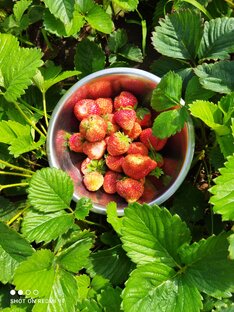 Клубничный смак