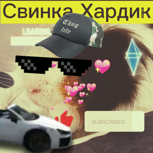 Приколы 🤣🤣🤣